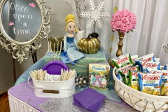 Cinderella- Pretty Princess Twist