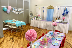 Cinderella- Pretty Princess Twist