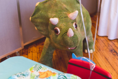 Dinosaur -It's a Zoo Twist