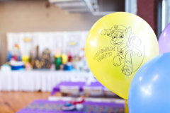 Paw Patrol Superhero Twist