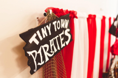 Ahoy Matey Party Theme