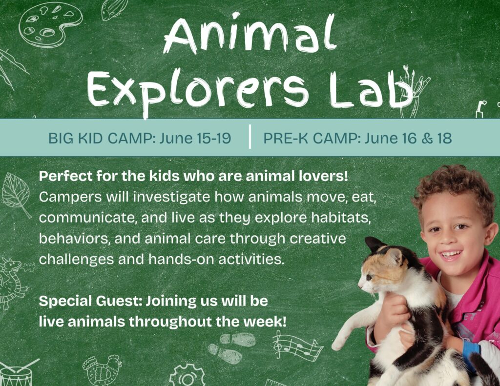 Animal Camp Image